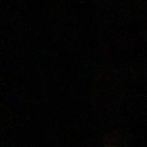 Meet your Posher, Randi